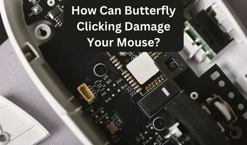 How Can Butterfly Clicking Damage Your Mouse?